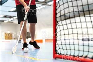Floor Hockey