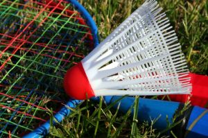 Badminton Racket and Birdie
